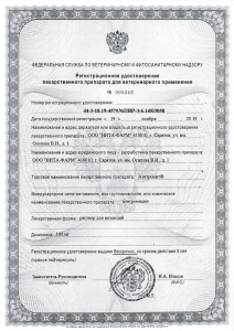 Азитронит 20мл "НИТА" 1/60